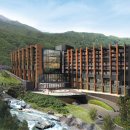 포레스트리솜 이미지