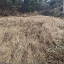 매수1리마을회관 이미지