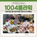 1004 | 광주 쌍촌동 꽃집 1004플라워 화분 솔직 후기