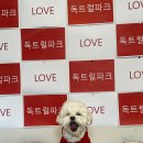 견생유치원 이미지