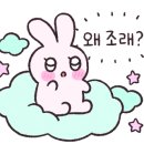 그린앤화이트 네이버블로그