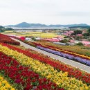 천사의섬