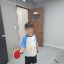 꿈꾸는탁구장