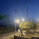 힐링풀빌라 | 청주 감성 숙소 추천 프라이빗하게 즐기는 '라온풀빌라' 힐링 후기