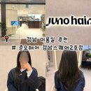 조이 동물 재활클리닉 | [강남] 강남역 준오헤어 || 준오헤어 강남역스퀘어점2호점 ||조이 디자이너님 레이어드컷트