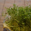 최현한의원 이미지