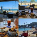 1911 | 부산 송정카페 오션뷰 카페1911 주차 애견동반 가능 송정해수욕장 데이트