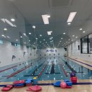 JS키즈스윔 이미지