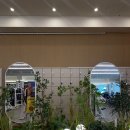 구미동헬스장 비교하다 정착한 곳, 빌리프짐 분당점 분당헬스장 후기