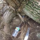 남근농장 이미지