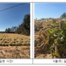 진양에너지 이미지