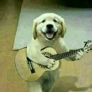 이고그램 이미지