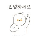 에프엘디테일링손세차