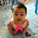 입고 꾸미고 이미지