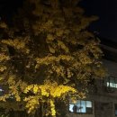한우정육소 안산대점