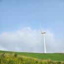 새봄목장 | 평창&amp;대관령 여행 후기2 [자연애(愛) 빠지다(ft. 강원 평창)-펫츠고]