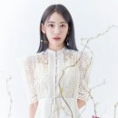 사쿠라