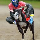 미정주유소 이미지