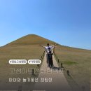 고성 아트앤체험캠프 캠핑장 C11사이트 이용후기