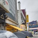 서독약국 | [속초디저트맛집] 에그타르트 예약제 마카오박 속초여행 마지막코스 추천