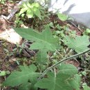 삼계초등학교 이미지