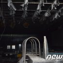 불로사우나 이미지