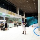 세부전문투어 이미지