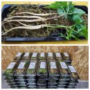 효림체육관 이미지