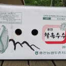 홍천농협두촌지점 이미지
