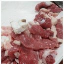 자연오리 이미지