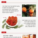 파수몰