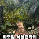 더벤티안산식물원 | 안산 근교 부모님과 가볼만한곳, 음료 주문시 입장료 무료인 화성 바오밥식물원카페