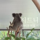 시드니 페더데일 동물원 /블루마운틴 투어 당일치기 + 마이리얼트립 4월 할인쿠폰 코드