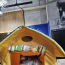 더나은메디칼 이미지