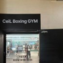 씨엘권투체육관 이미지