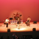 똘래랑스 이미지