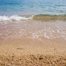 바다정원 이미지