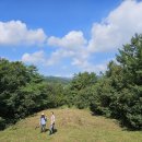 #3357 나는 누구인가? - 先山 伐草(선산 벌초) Ancestor's seedling mowing 이미지