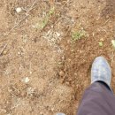 김미경농장 이미지