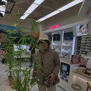 정관로 | 정관안경점 아이리더안경 렌즈타운 기장정관점 친절한 안경맞춤 후기