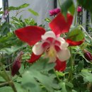 대굴령마을 이미지