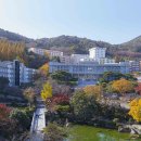 (주)대동백화점 이미지