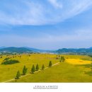 구미강정 이미지