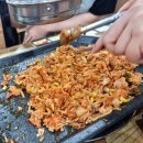 기수백서