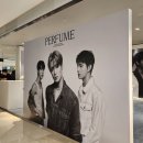 모노룸퍼퓨머리하우스 | NCT 도재정 Perfume 팝업 스토어 방문 후기 위드뮤/에버라인/사운드웨이브