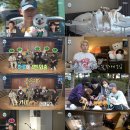 스카이개슬 이미지