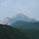 정릉75 이미지