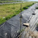 덕곡농장 이미지