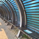 동탄센트럴파크 인라인스케이트장 이미지