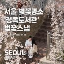 정독도서관 | 서울 벚꽃명소 추천! 정독도서관 벚꽃스냅 촬영 후기 - 정독도서관 주차 및 벚꽃 사진 스팟